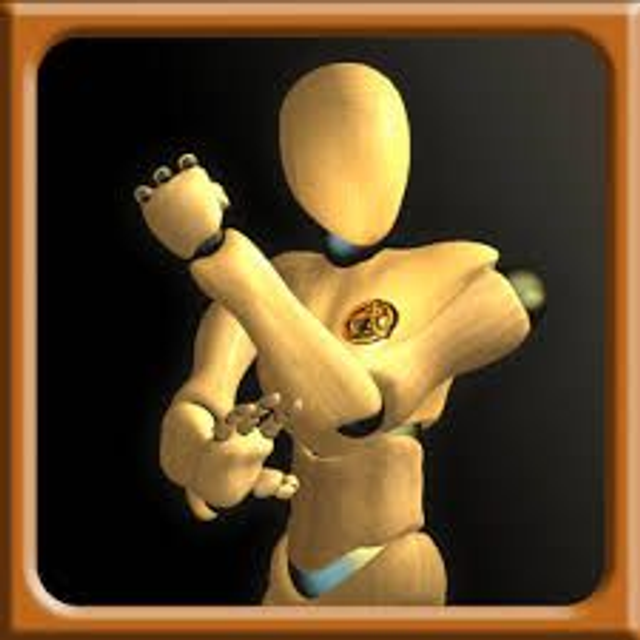 AUTONOMIE - TÉMOIGNAGE DE RECHERCHE / BOXE CHINOISE : WING CHUN SPÉCIFIQUE