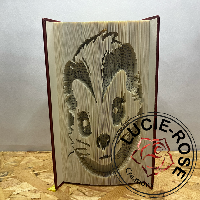 Livre sculpté "furet"