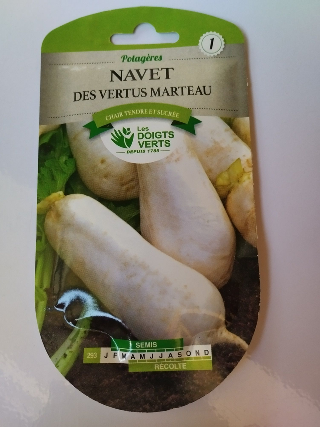Navet des Vertus marteau
