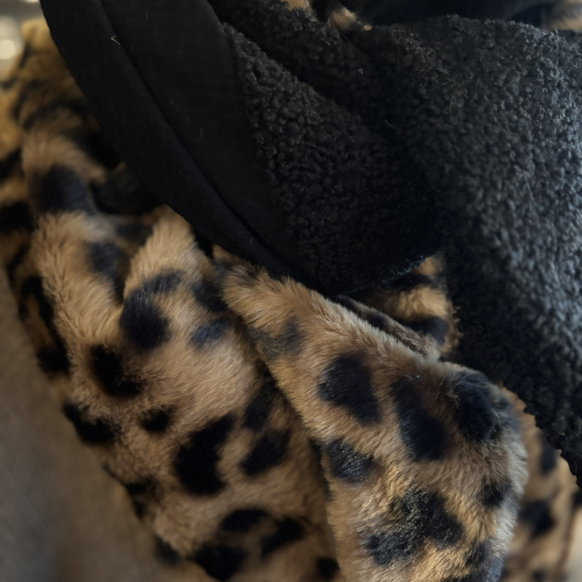 Écharpe - La Panthère Noire