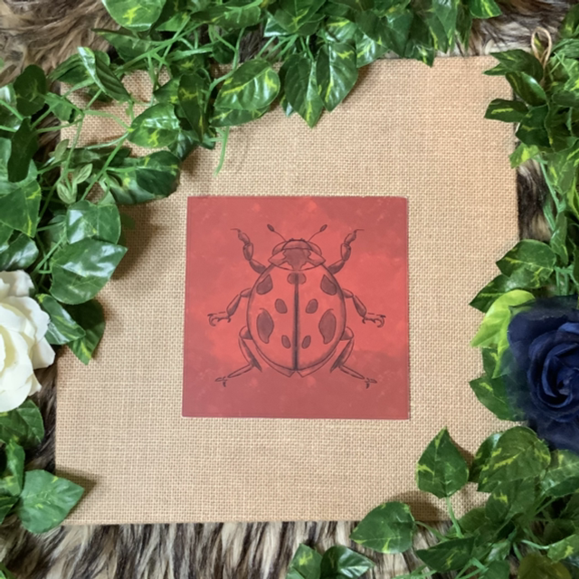 Square Print - Ladybug