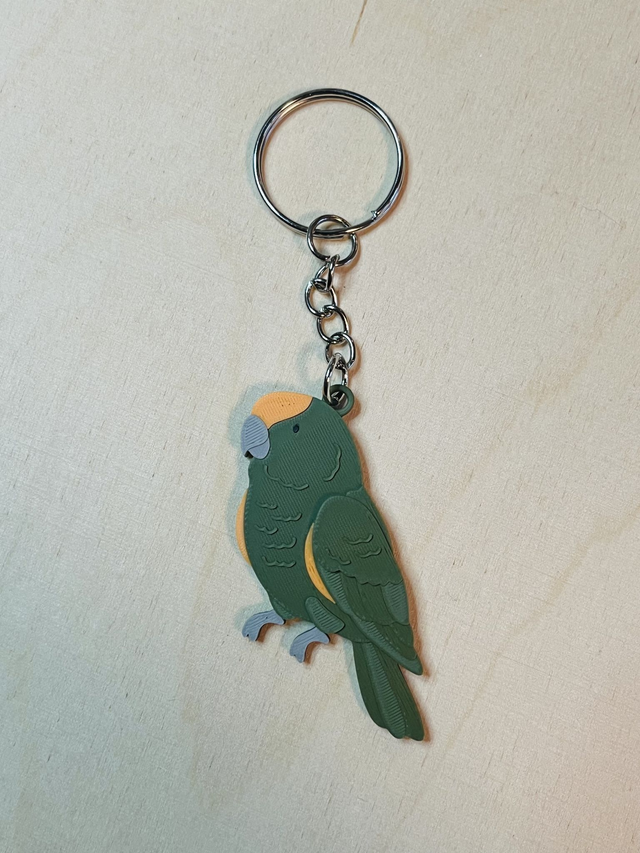 Sleutelhanger Jardine Papegaai