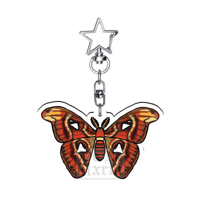 Atlas Moth Acrylic Keyring