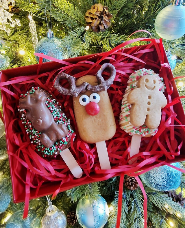 Christmas Fudge pop set