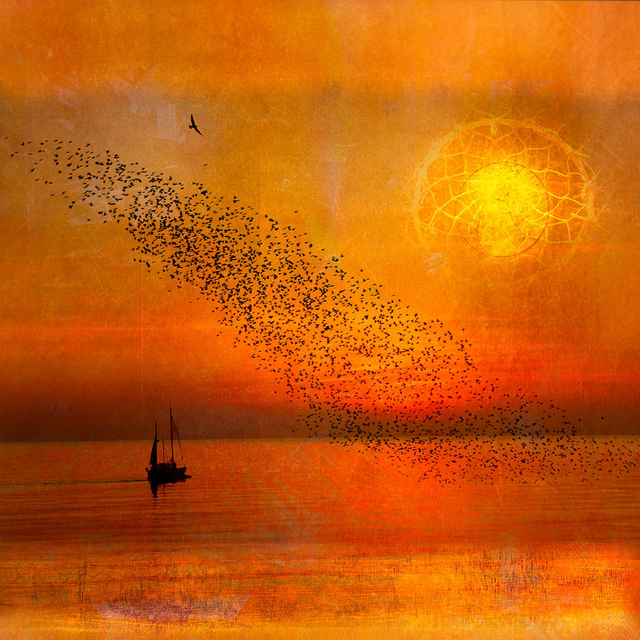 The Silence After Flight - Image size 10" x 10" 