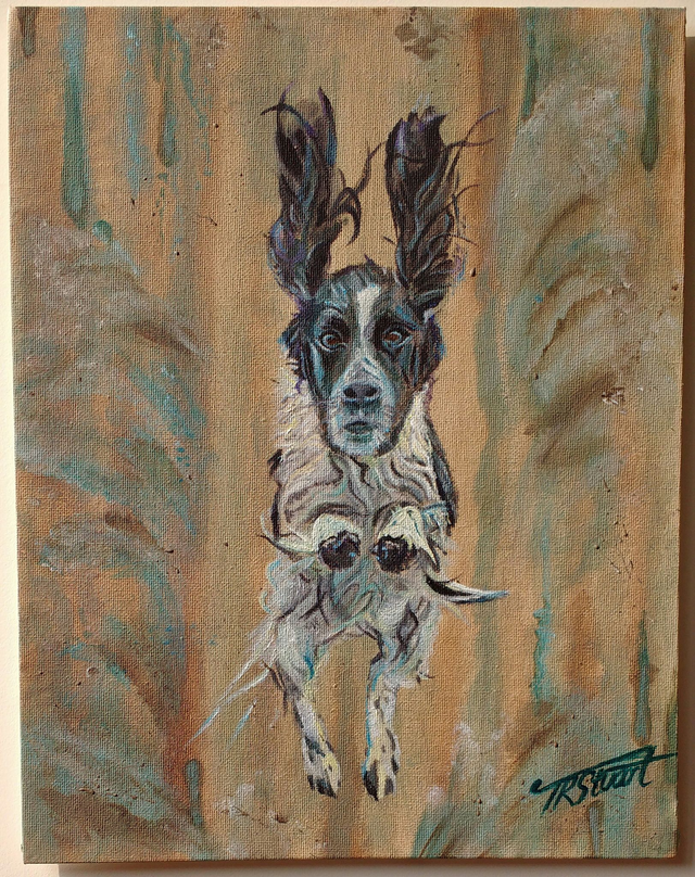 Apollo original, prints &amp; merch