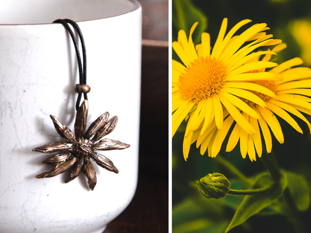 Collana Arnica
