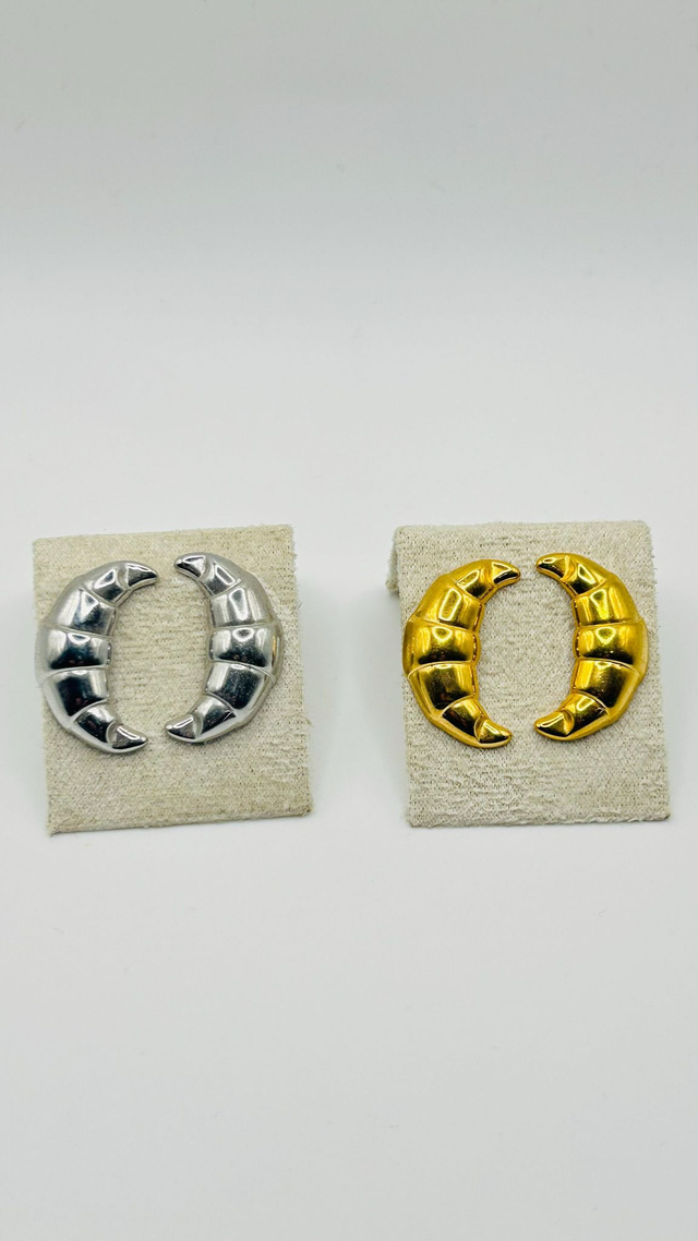 Stainless Steel Earrings (SSE56J)