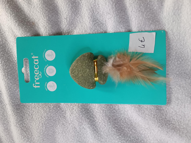 Champignon cataire et plume 