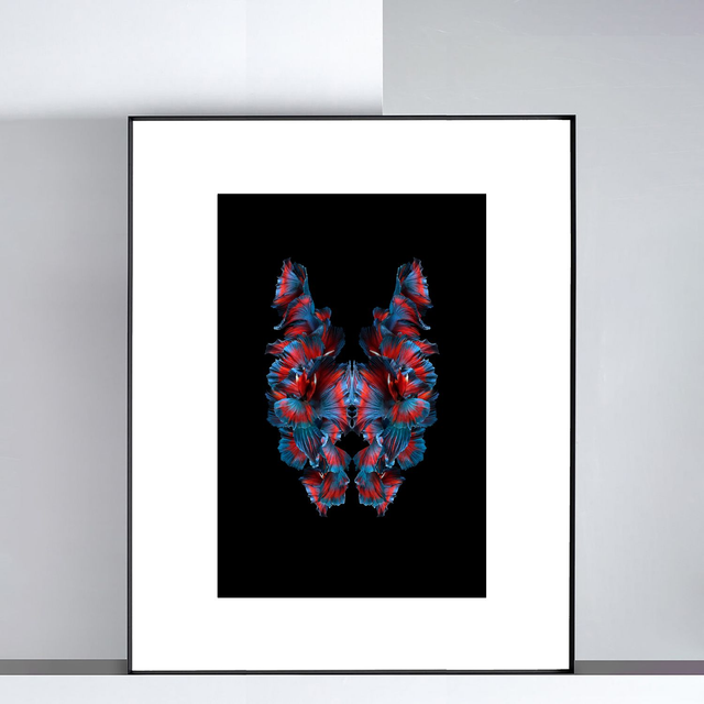 Imago Betta Rouge | Tirage 1/8