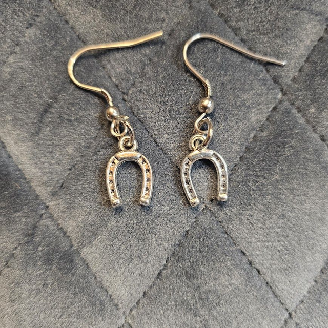 Hevosenkenkä korvakorut - Horseshoe earrings