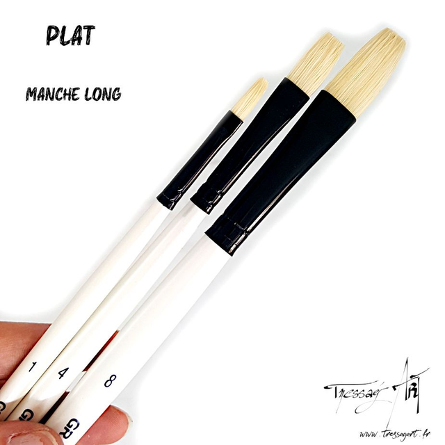 DALER ROWNEY - PINCEAU LONG UNITE - PLAT - SOIE PORC - CA071