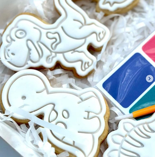 Coffret dinosaures à colorier