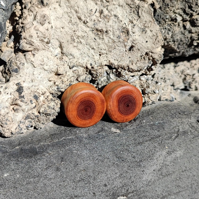 Plugs en Bois de Cade d'Ardèche, 16 mm