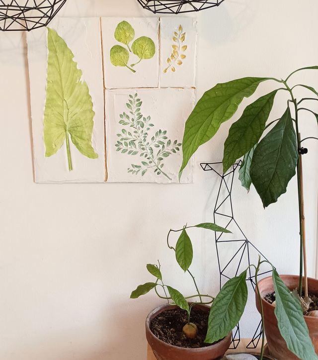 HERBIER_GRAND FORMAT