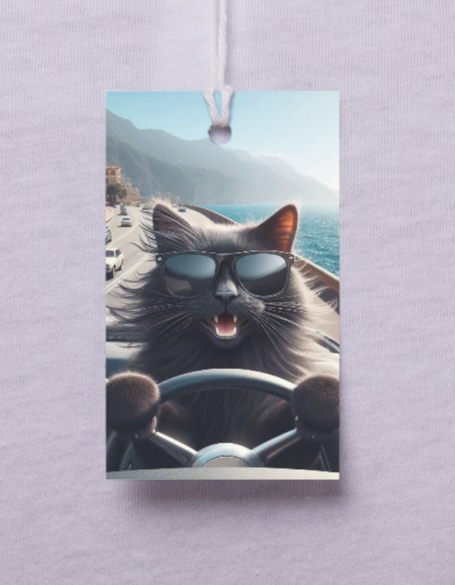  Un Chat au volant 