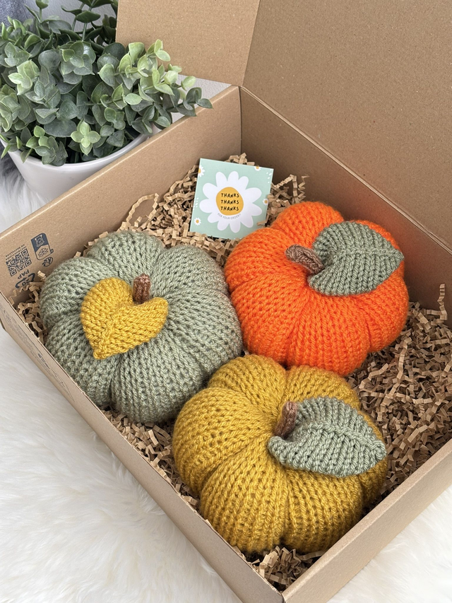 Citrouilles (Pack de 3)