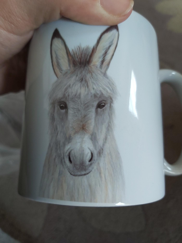 Daisy the Donkey mug