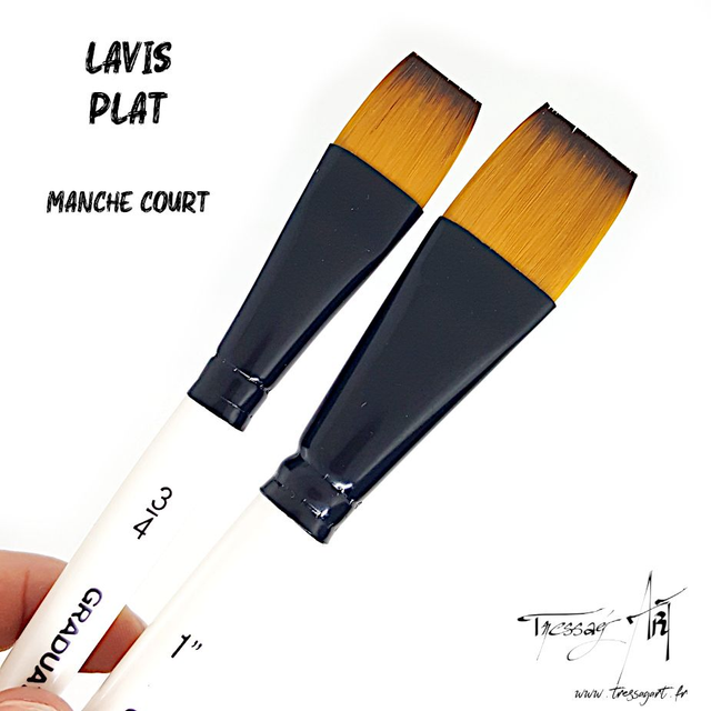 DALER ROWNEY - PINCEAU COURT UNITE - LAVIS - CA081