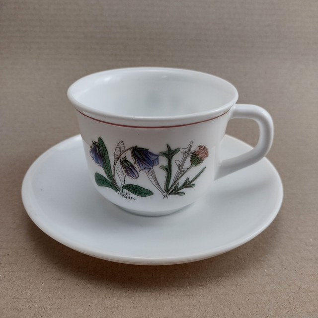 Arcopal | Kop (diameter 9,5 | hoogte 7,0 cm) en Schotel (diameter 16,0 | hoogte 2,5 cm) in wit met &#039;Fleur d&#039;ete&#039; motief  | Vintage