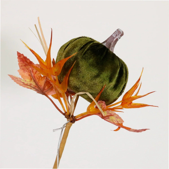 Autumn Wild Velvet Pumpkin (medium) Green