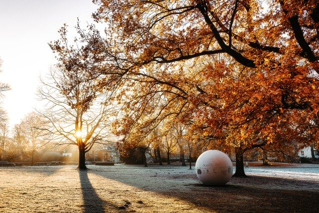 Frostmorgen an der Aaseekugel