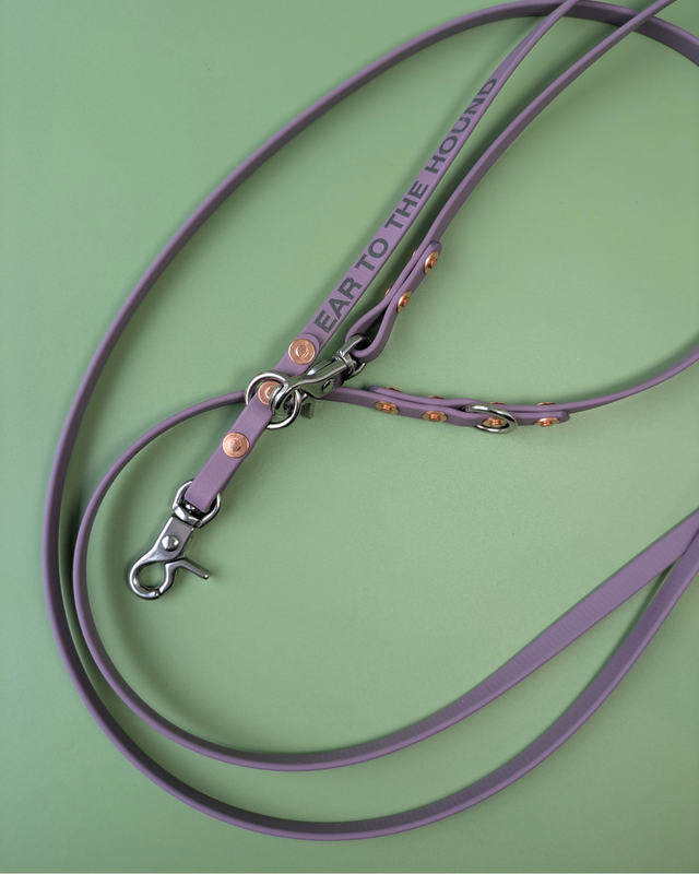 LIGHTWEIGHT HANDS FREE LEAD