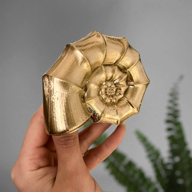 Nautilus - Décoration murale dorée d’ammonite 