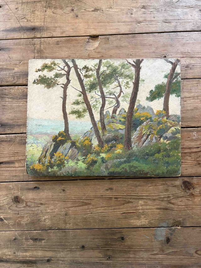 Sentier des douaniers, Huile sur toile