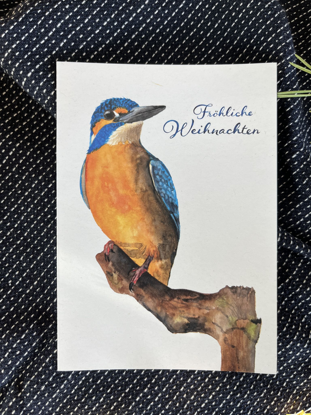 Weihnachtskarte Eisvogel vorne - Wiener Wildnis