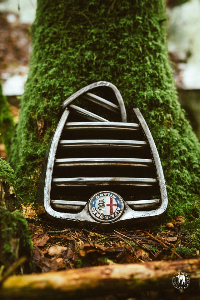 "Signe extérieur de richesse" Tirage Fine Art sur Alu-Dibond 30x45cm