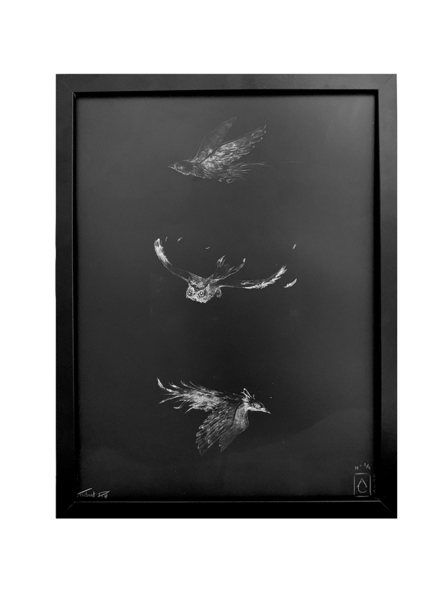 Night birds