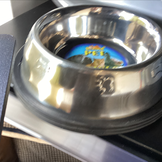 Medium paw print chrome rubber base bowl