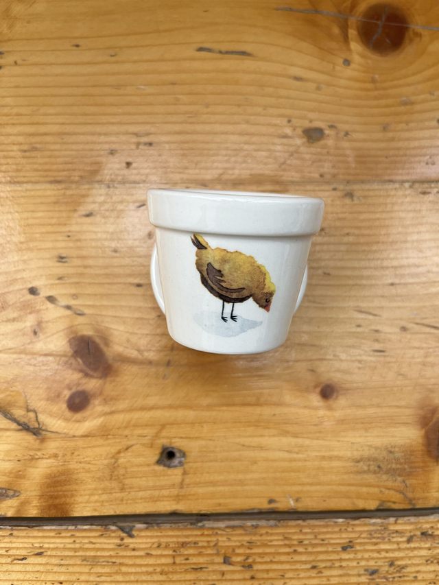 Espresso Tasse / Blumentopf - Hühner