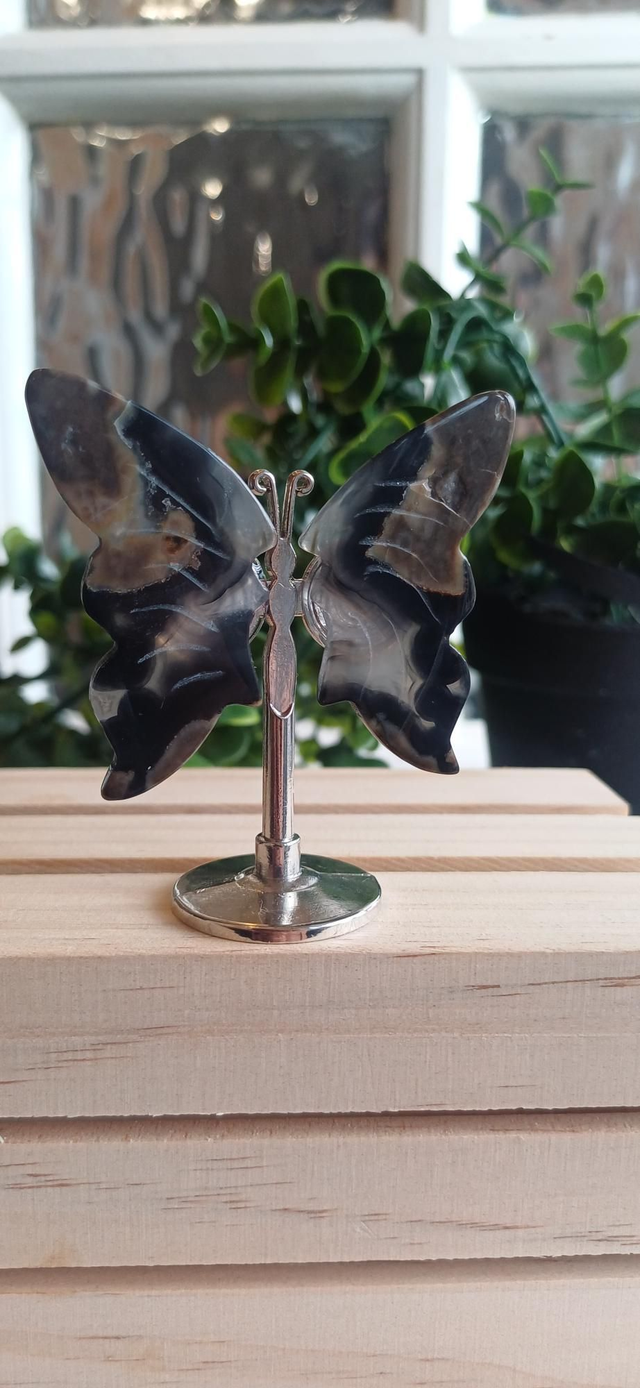 Volcano Agate Butterfly Wings on Silver Stand