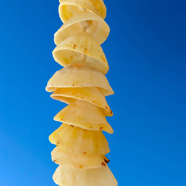 Mobile côtier 1 guirlande de 20 patelles et 1 drôle de bois flotté