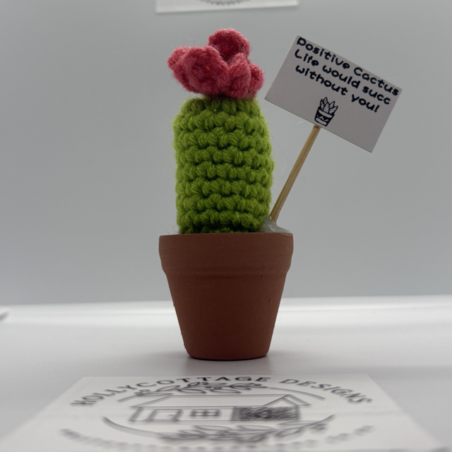 Cacti  desk buddy various 