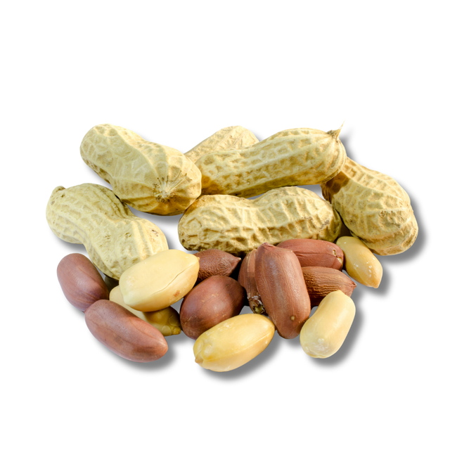 Raw groundnut