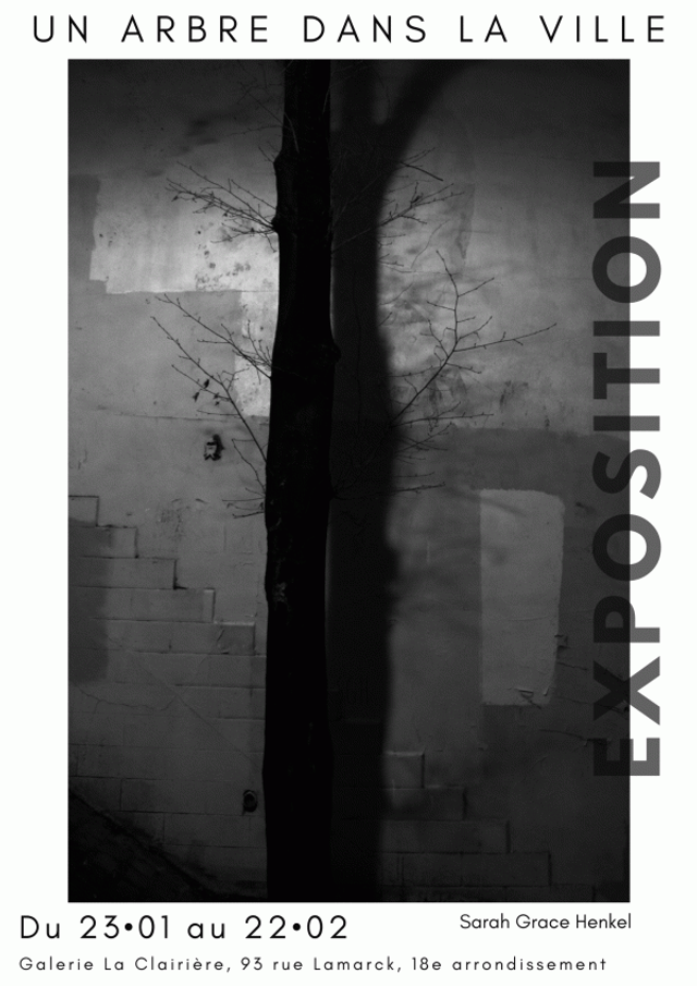 Affiche Sarah Henkel