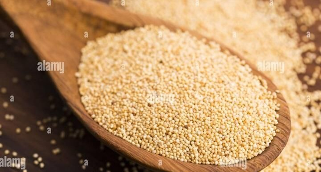 Semi di papavero bianco 