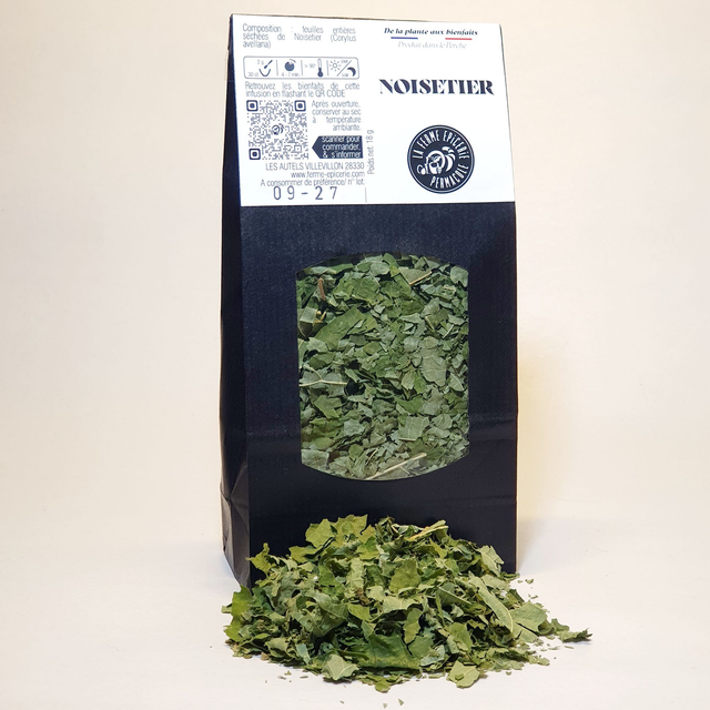 NOISETIER - FEUILLES EMIETTEES