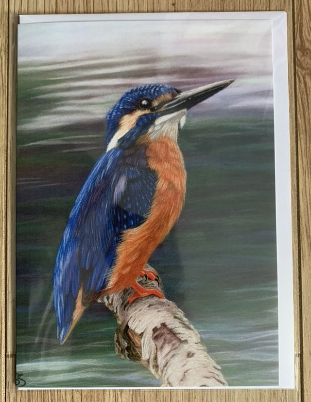 Greetings Card - Kingfisher - Blank Inside