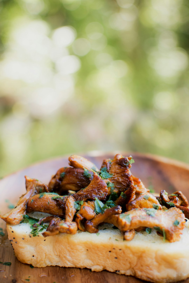 Mushroom on toast