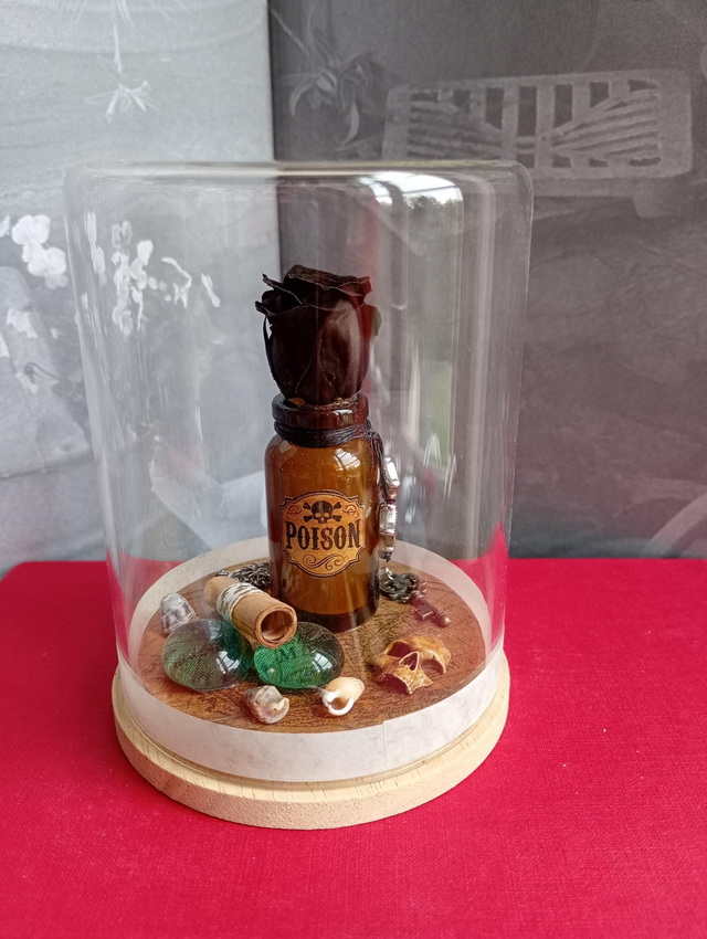 D23 Mini pirate noir