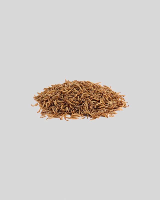 Sušený mouční červi - 60g