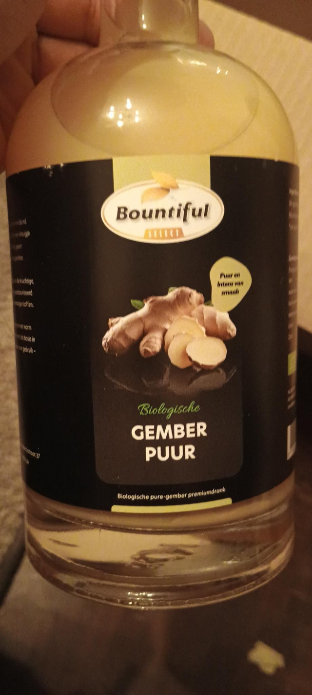 Bountiful Gember Puur 500ml