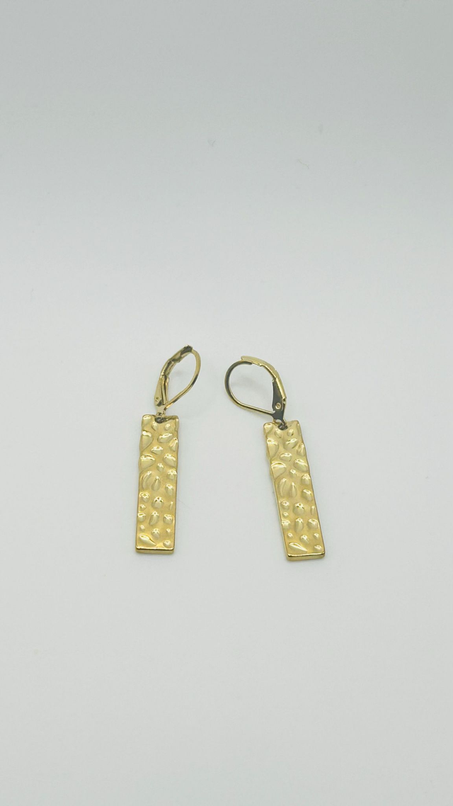 Stainless Steel Earrings (SSE22J)