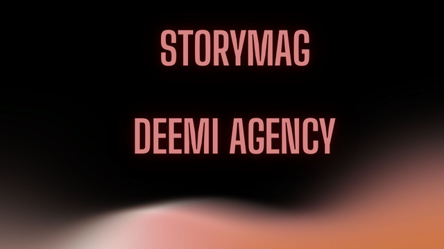 Création de &quot;Storymags&quot; pour vos produits ou services - Deemi Agency