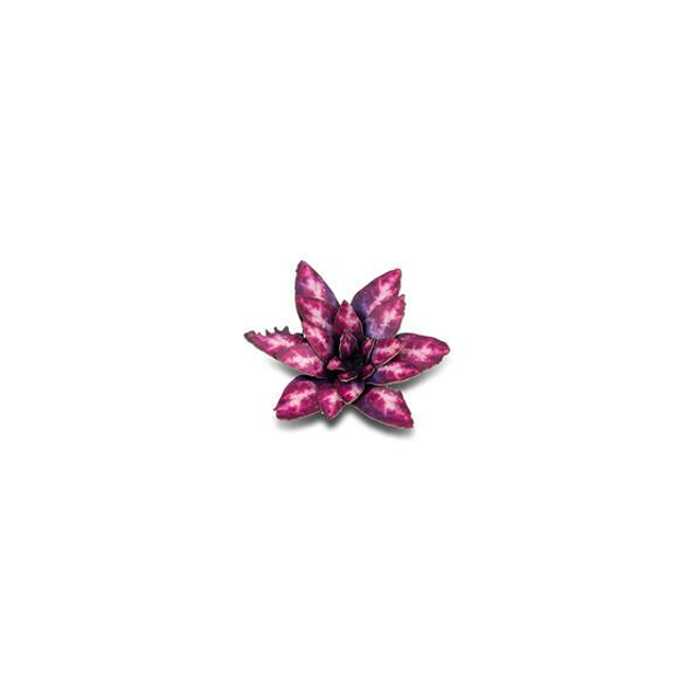Laser Plants - Alien Rosette