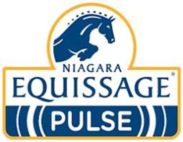 Equissage pulse 